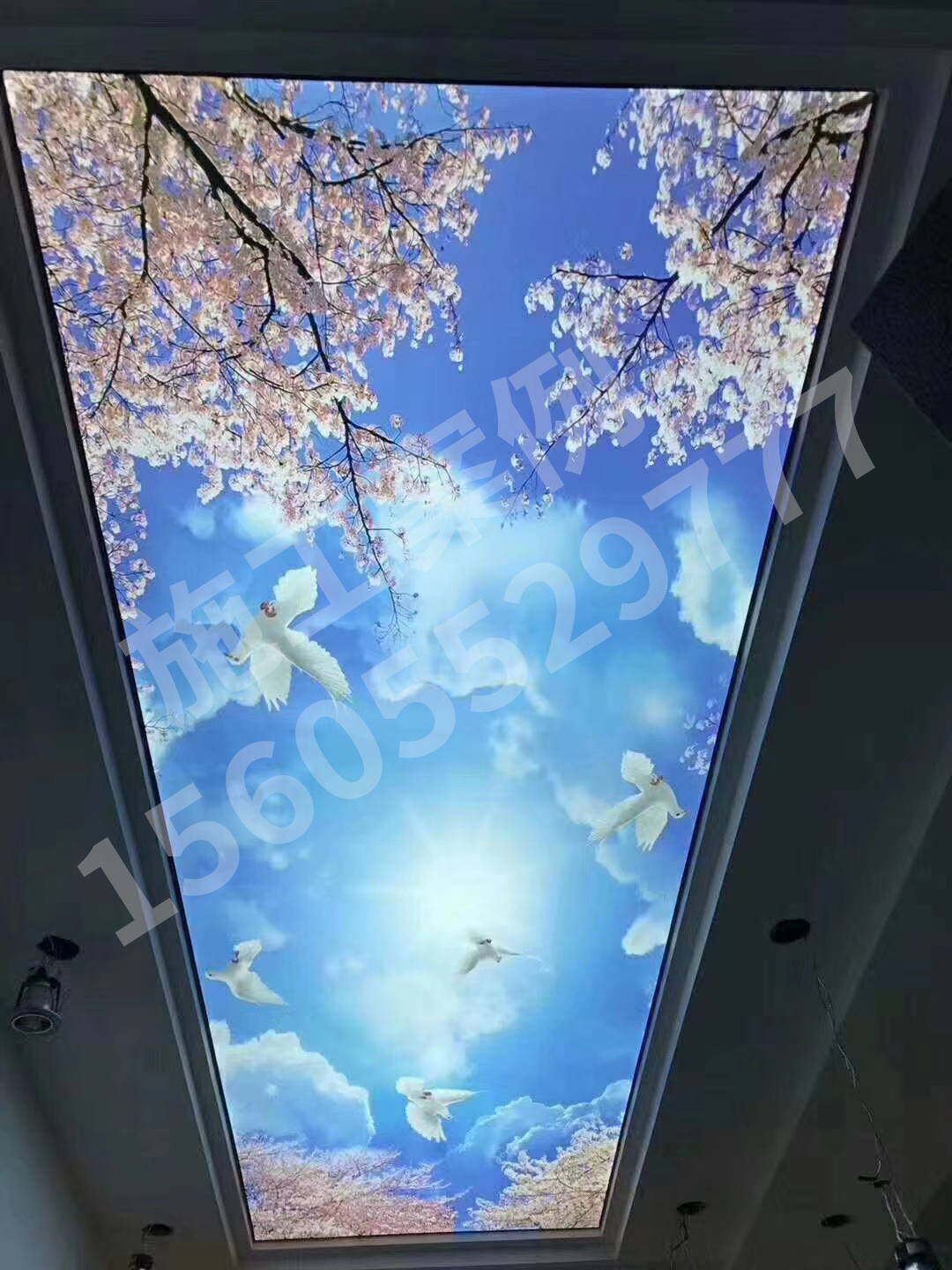 1654757141103269.jpg
